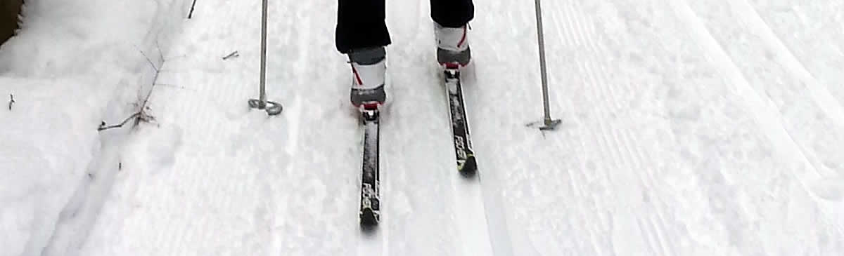 alberta xc ski nordic centre