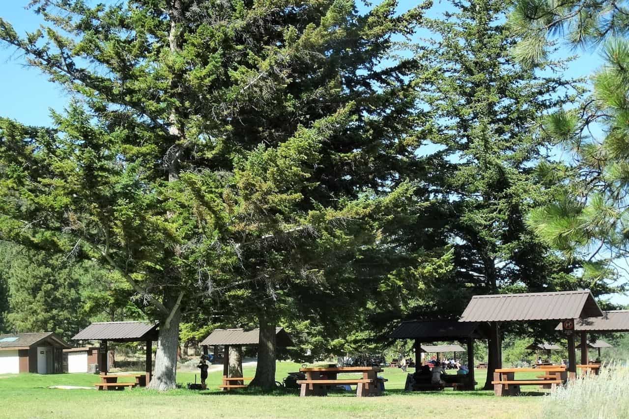 Monck Provincial Park sandy beach. Offers covered picnic tables, washrooms, private beaches, walking trails, and a large grass covered area great for Bauchi. Merritt BC summers.