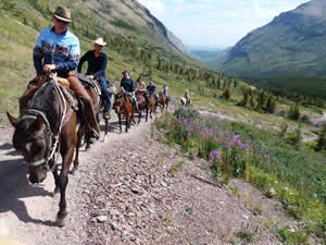 Waterton Horseback Riding