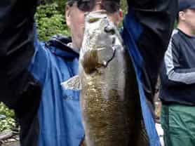 Walleye Fishing in Wawa