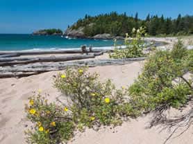 Coastal Trail in Pukaskwa NP, Canada