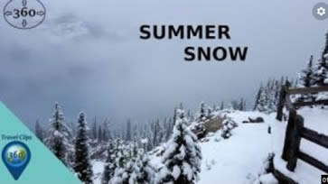 Summer Snow