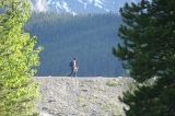 fishing-white-spruce-parking-lot20090702_24