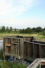 trail-lookout20090711_281