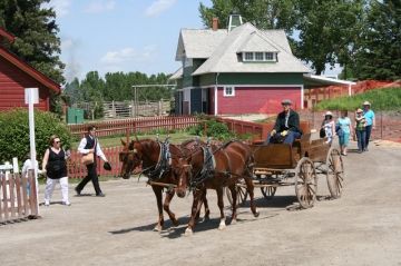 horse20090630_55