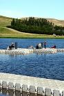 boat-docks20090625_25012