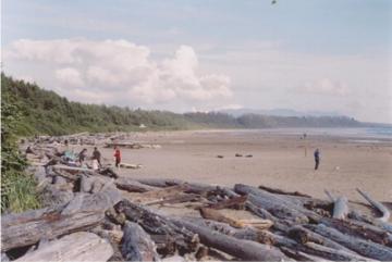 long_beach_pacific_rim_03