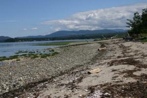 rathtrevor_beach