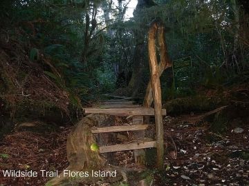 walk-the-wildside-trail