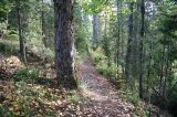 howe_creek_trail02