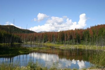 stonecorralmarsh_at_trailhead