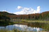 stonecorralmarsh_at_trailhead