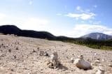 montana-mountain-yukon_rock-piles