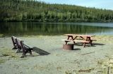 fisheye_lake_picnic