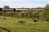 porritt_hay_river_picnic