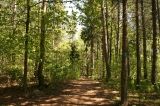 laurentian_escarpment_conservation_05