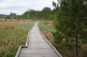 kelly_lake_hiking_trail_sudbury_ontario_38