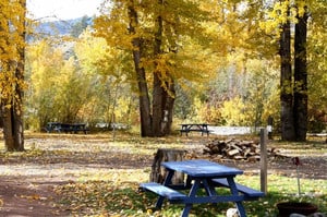 01-merritt-campground-moonshadows