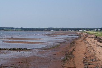 beach20100903_66