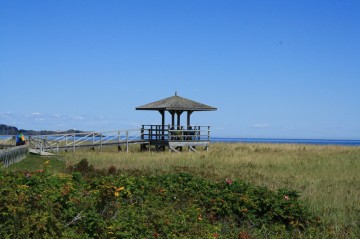 grand-manancastalia-marsh20120825_0620