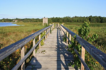 strawberry-marsh-trail-bridge20100814_02