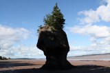 hopewell-rocks-flower-pots-more20100822_40