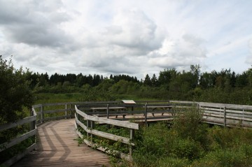 mapleton-wetland-trail-lookout20100903_33