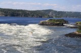 reversing-rapids-falls-reversing-rapids-tour-boat20100819_24