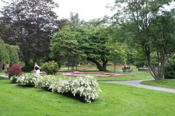 halifax-public-gardens-flowers20110729_88