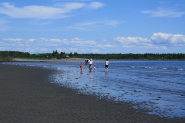 sand-dollar-beachlow-tide-beach-people20110725_26