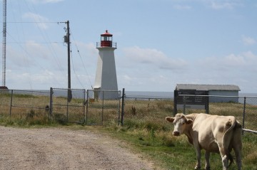 cheticamp-island-pointe-enragee20110806_91