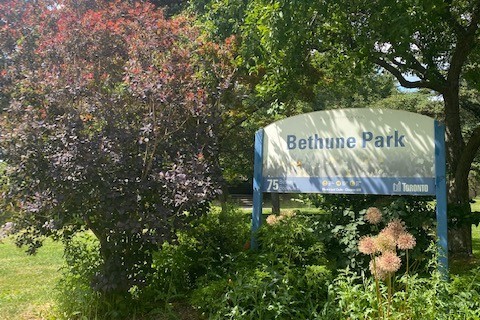 bethunepark