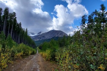 northyorkcreekplanecrashtrail-800x600