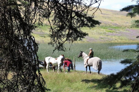 lundbomlakehorse-1280x720