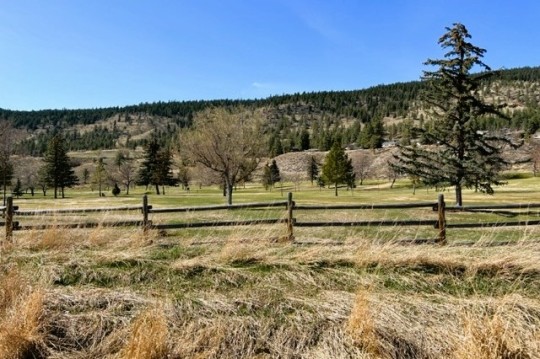 nicolavalleybcsagebrush