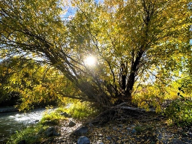 merrittbcfallriverwalkingoutdoortrails - Experience Nicola Valley BC autumn charm. With crisp, cool air of autumn offers a relief fromthe hot summer days. Truly is ideal to get outdoors and enjoy activities such as hiking, river walking, camping, or just sit and read a book. Experience outdoor adventures around Merritt BC. 