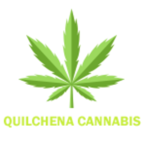 Profile photo of Quilchina Cannabis Co.